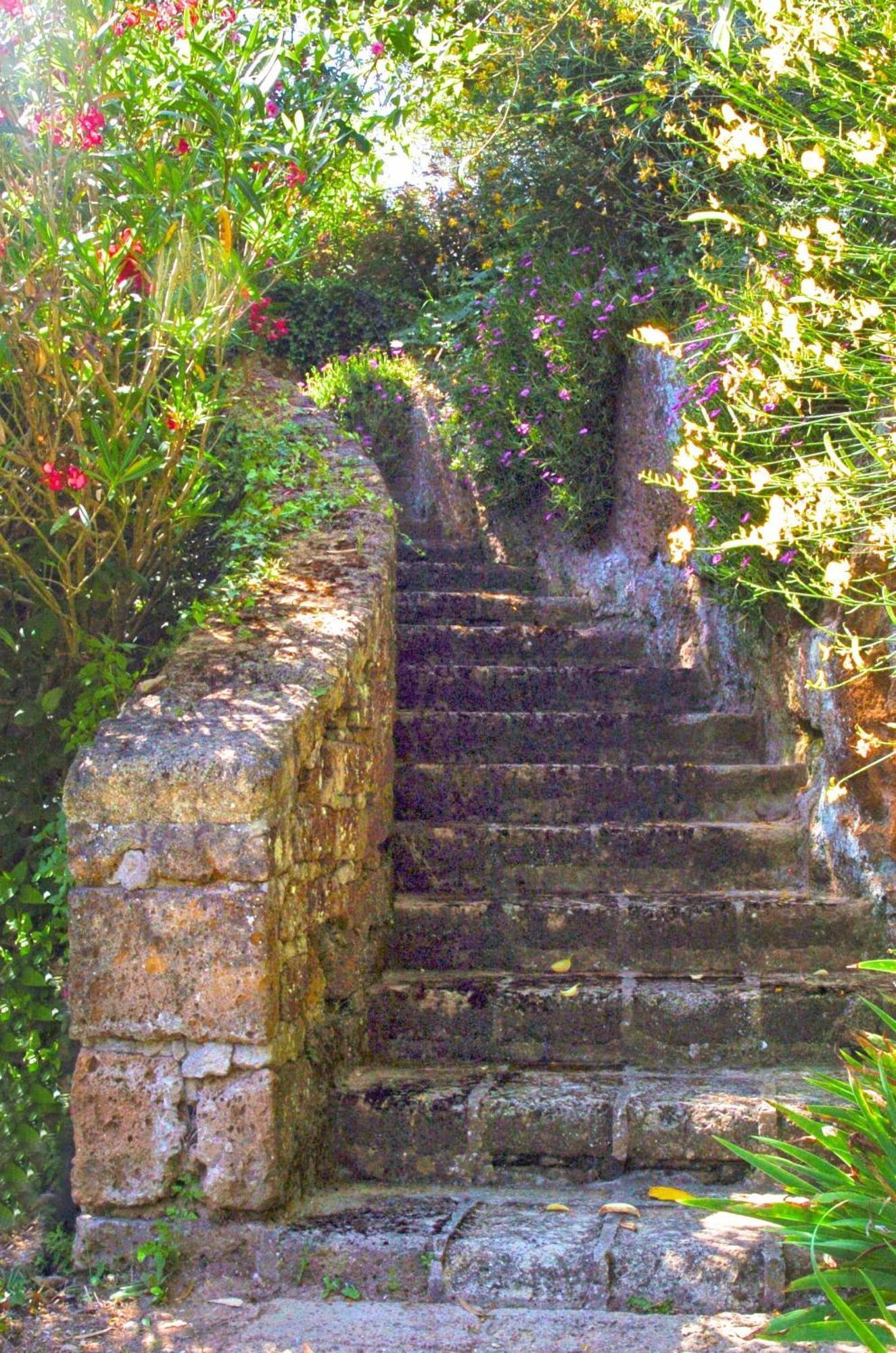 Montecasciano Primula Capranica Exterior foto